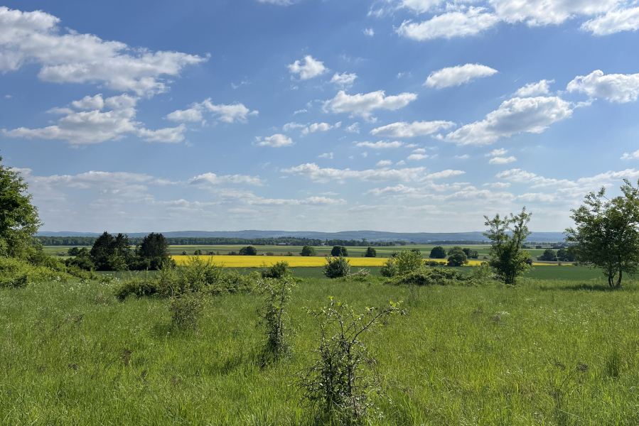 Empfehlung: Der dein-swisttal.de Panoramaweg Nr.1